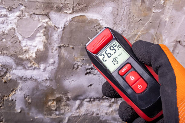 Best Crawl Space Mold Remediation in Exandria, AL