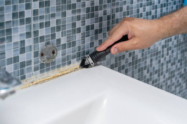 Best Post-Remediation Services in Exandria, AL